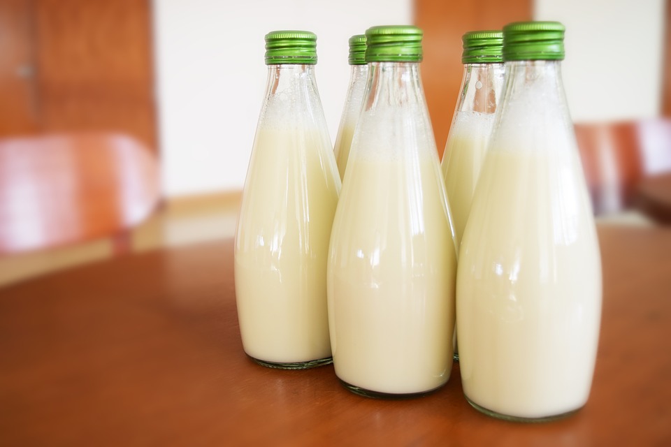 latte di canapa in bottiglia di vetro 