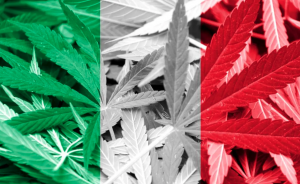 cannabis legale in italia